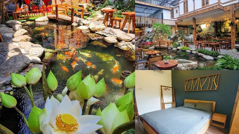 TP Koi Homestay Quy Nhơn
