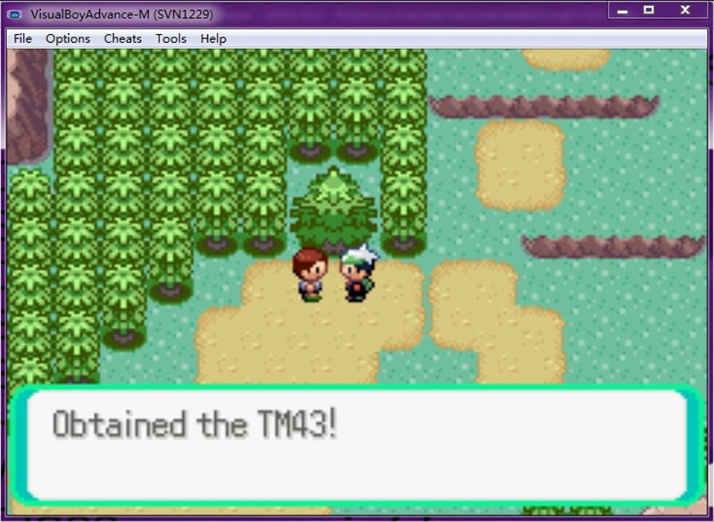 Một cảnh trong game Pokemon Emerald