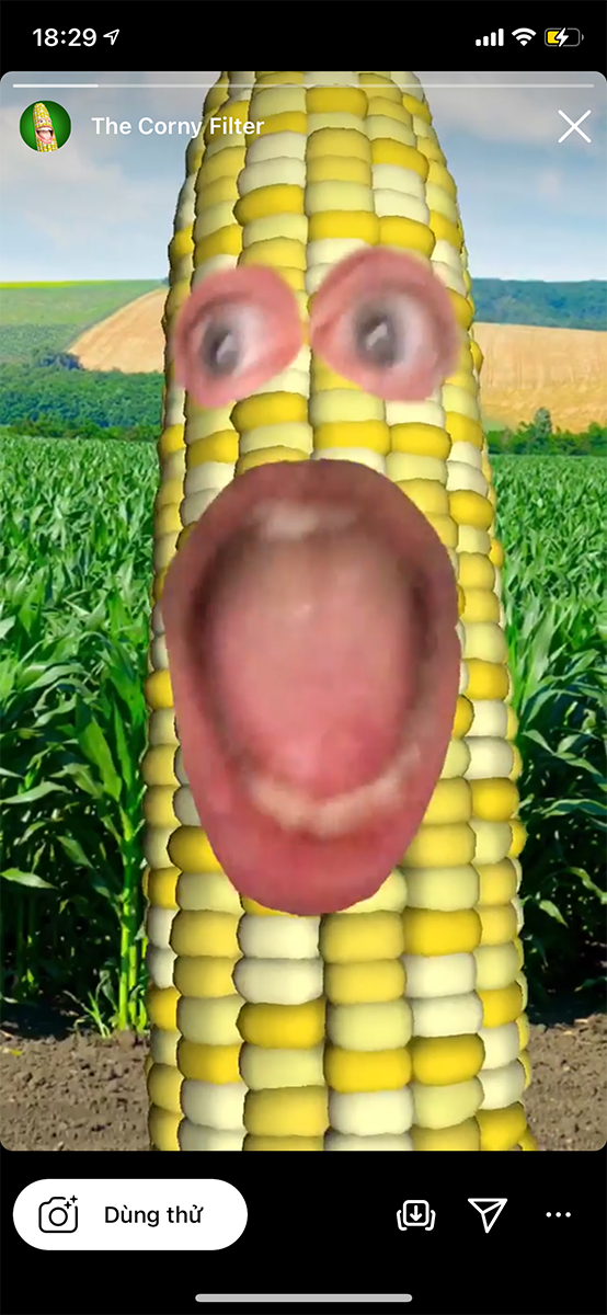 The Corny Filter