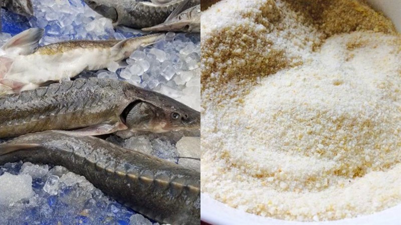 Cá không ăn muối cá ươn, Con cãi cha mẹ trăm đường con hư.