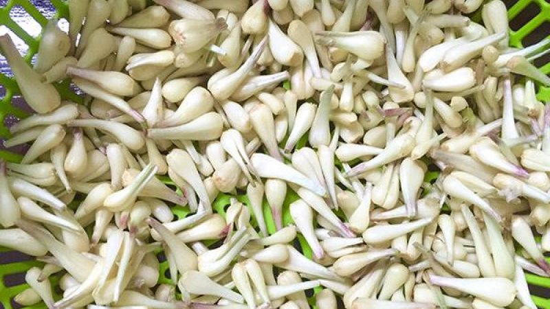 Kiệu