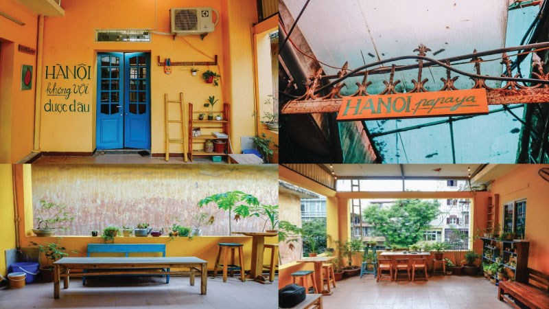 Hanoi Papaya homestay