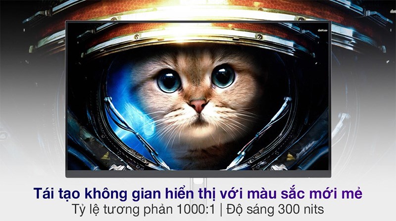 M&agrave;u sắc mới mẻ, rực rỡ