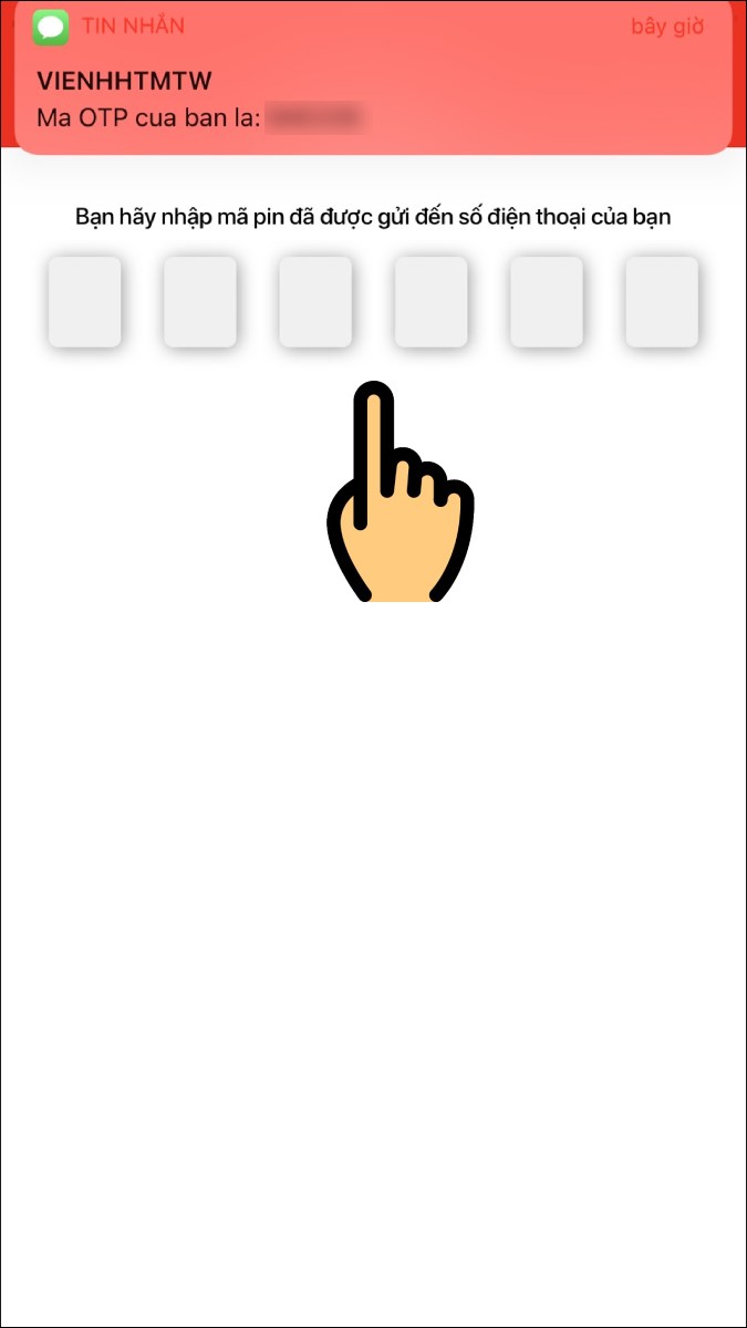 Nhập mã pin vừa được gửi về điện thoại của bạn