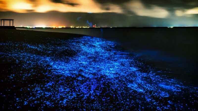 Biển Sao (Đảo Vaadhoo, Maldives)