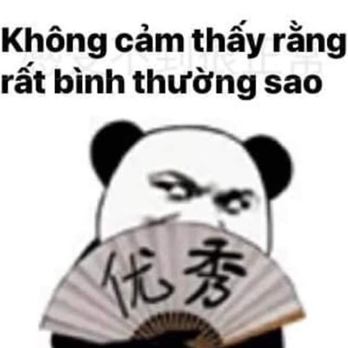 Meme gấu trúc - bình thường