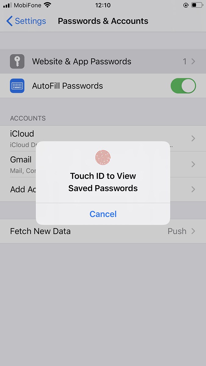 Xác nhận Mật khẩu bằng Touch ID hoặc nhập Mật khẩu thiết bị của bạn