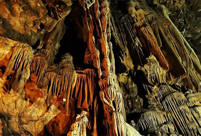 Ngũ Động Bản Ôn