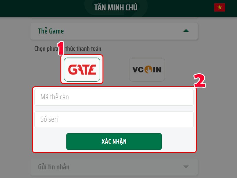 Nhập thông tin thẻ game để thanh toán