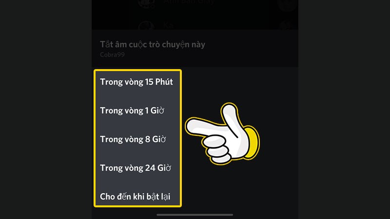 Tùy chọn thời gian tắt âm