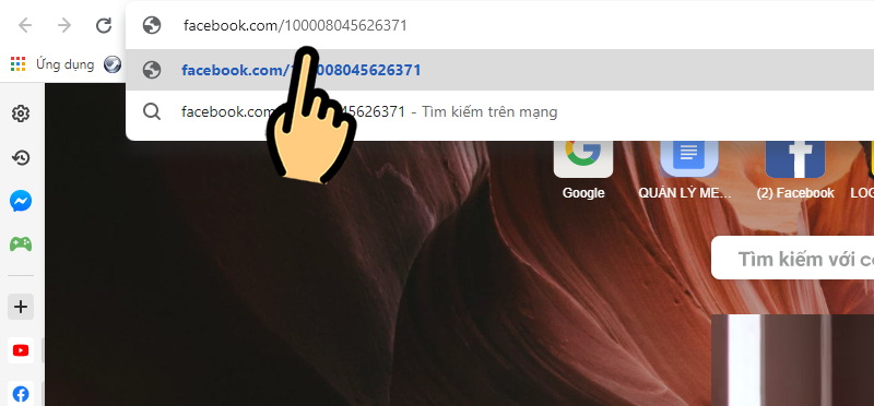 copy d&atilde;y số ID đ&oacute; v&agrave; d&aacute;n ở sau địa chỉ Facebook.com/ 