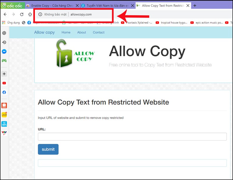 Truy cập vào trang web Allow Copy