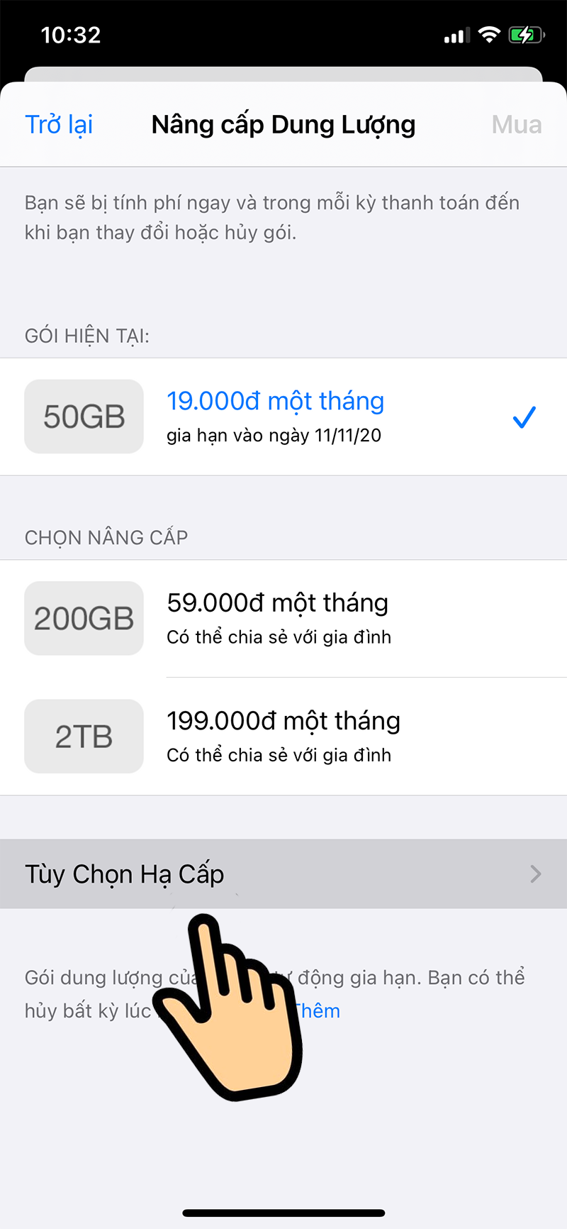 Nhấn v&agrave;o mục Tuỳ chọn hạ cấp.