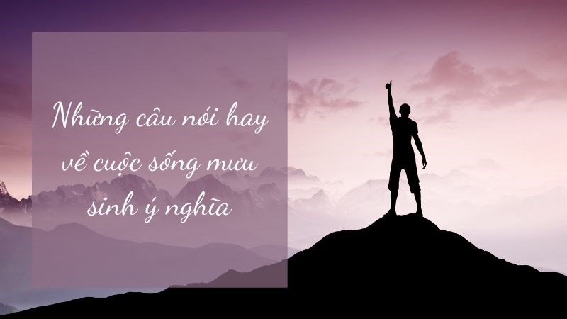 Những câu nói hay về cuộc sống mưu sinh ý nghĩa