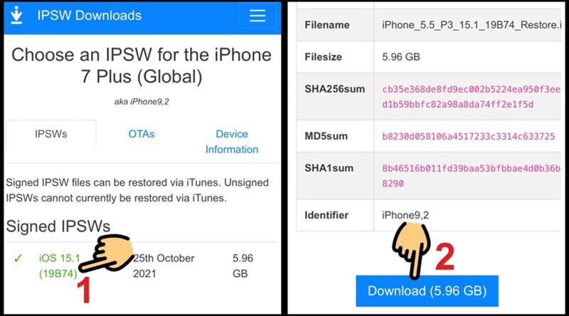 Chọn phiên bản iOS muốn cài đặt lại và nhấn nút Dowload