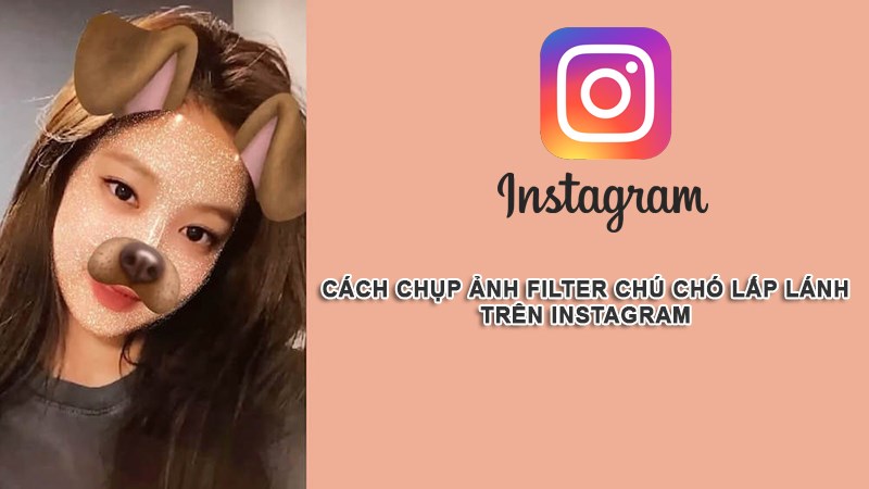 Cách chụp ảnh filter chú chó lấp lánh trên Instagram