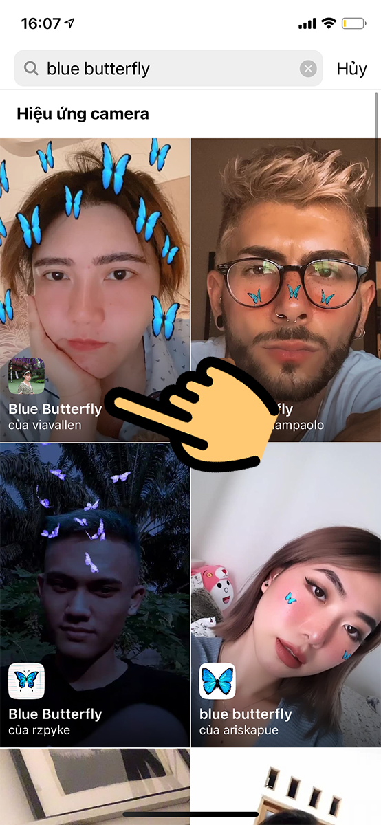 nhập t&igrave;m kiếm từ blue butterfly&nbsp;