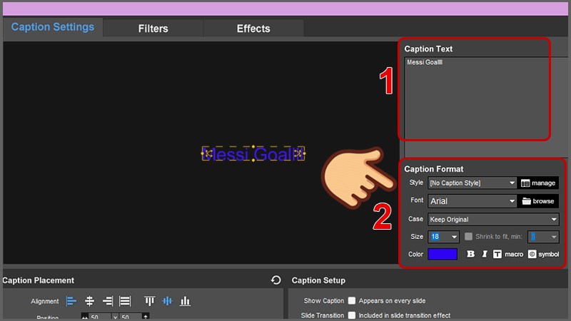 Nhập văn bản bạn muốn hiển thị ở mục Caption Text và chỉnh kiểu chữ