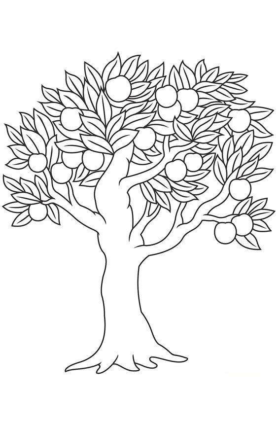 HĐ tạo hình: Vẽ vườn cây ăn quả - lớp MG 5 tuổi - CÔ giáo Nguyễn Thị Hồng