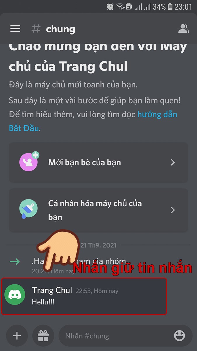 Nhấn giữ tin nhắn bạn muốn ghim