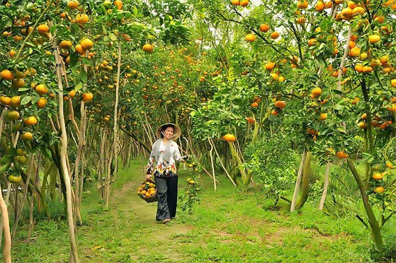 Hòa mình trong không gian yên bình tại miệt vườn Cái Bè