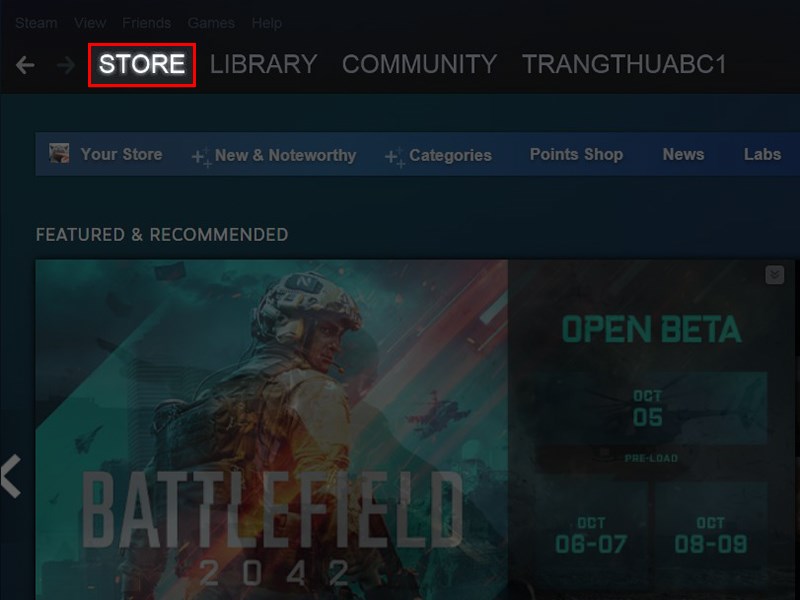 Mở phần mềm Steam và chọn vào Store.