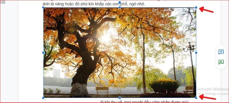  Nhấn chuộn chọn v&agrave;o ảnh, c&aacute;c điểm n&uacute;t sẽ hiện l&ecirc;n, bạn h&atilde;y di chuyển chuột sang tr&aacute;i phải l&ecirc;n xuống để điểu chỉnh k&iacute;ch thước như &yacute; muốn.&nbsp;