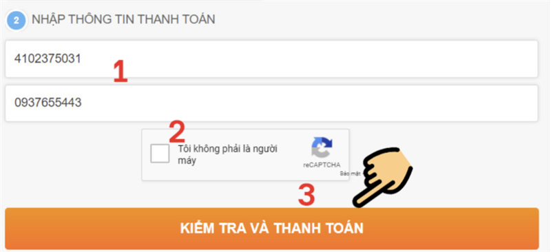 Nhập th&ocirc;ng tin v&agrave; thanh to&aacute;n