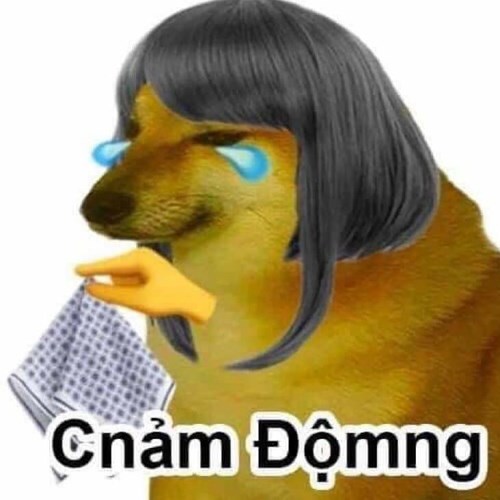 Meme Cheems khóc 6