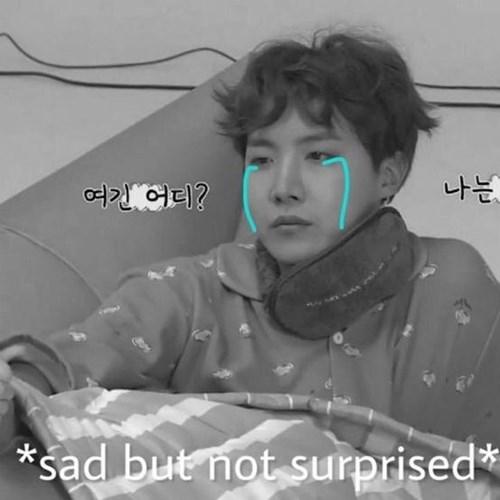 Meme BTS J-Hope 1