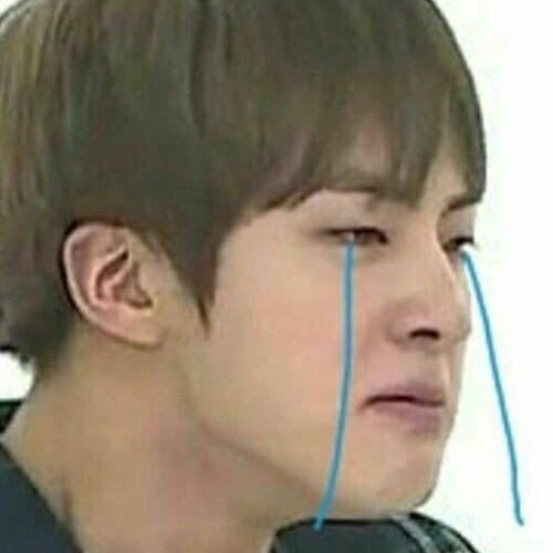 Meme BTS Jin 4
