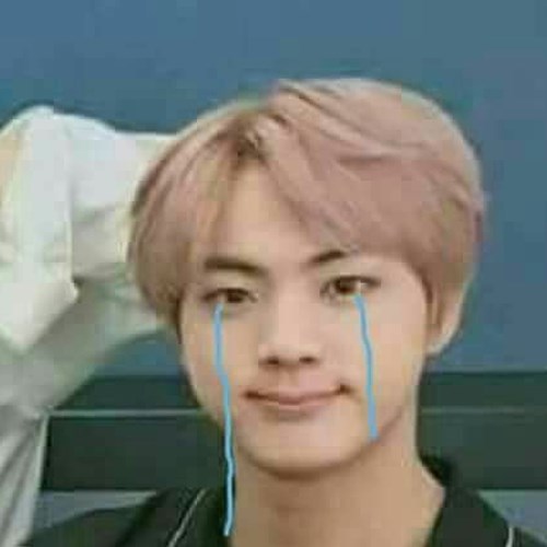 Meme BTS Jin 5