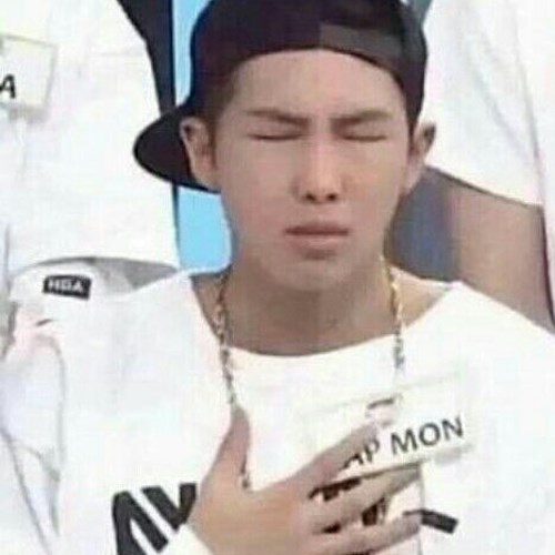 Meme BTS RM 3