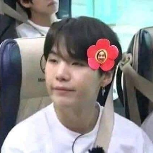 Meme BTS Suga 10