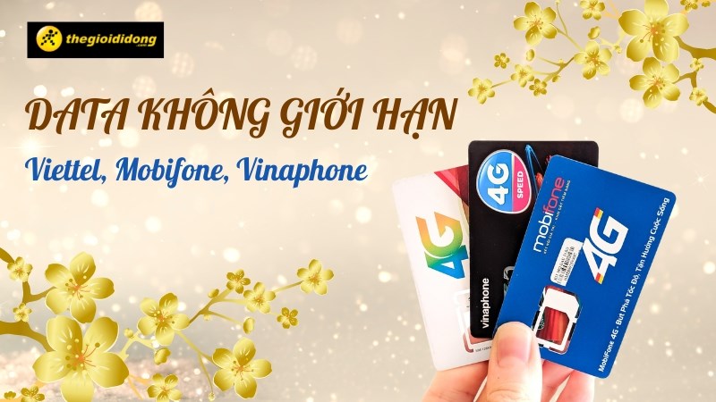 Vui Tết kh&ocirc;ng lo hết data - Tổng hợp g&oacute;i cước data 4G kh&ocirc;ng giới hạn Viettel, Mobi, Vina 