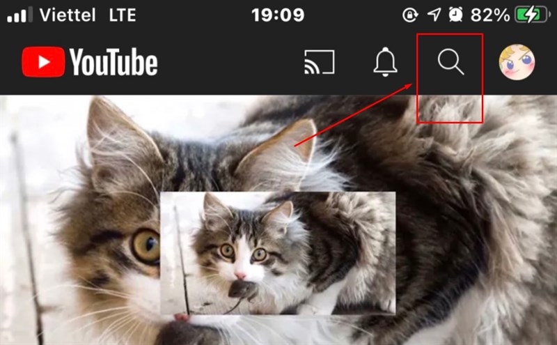 Mở YouTube và nhấn tìm kiếm
