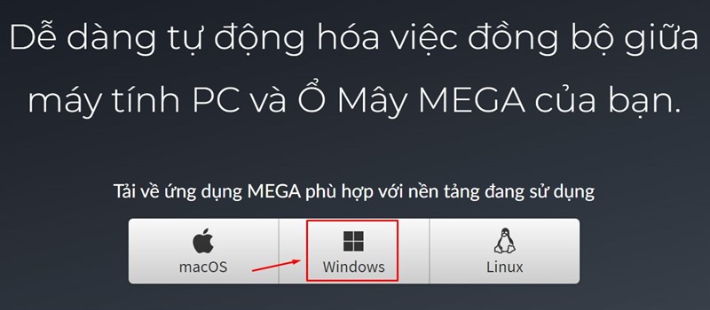 Chọn v&agrave;o Windows