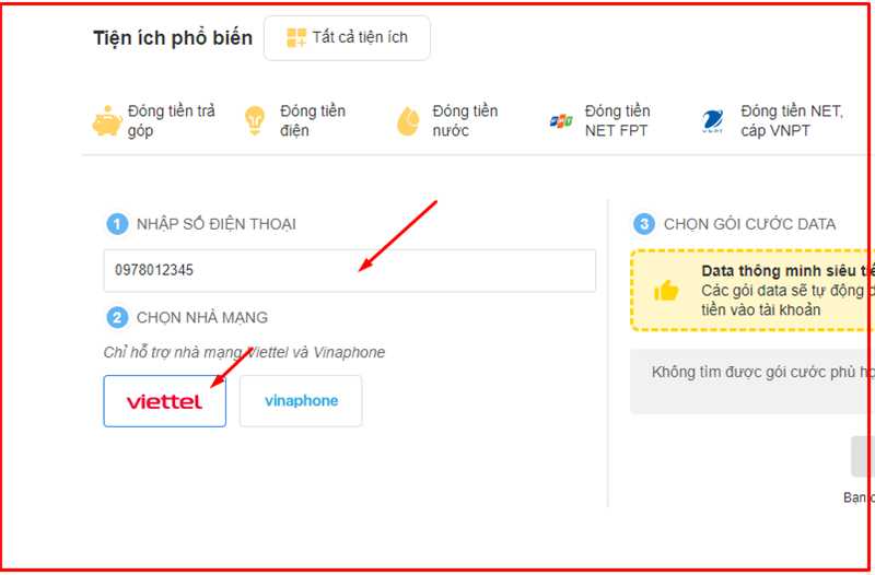 Nhập số điện thoại và chọn nhà mạng Viettel