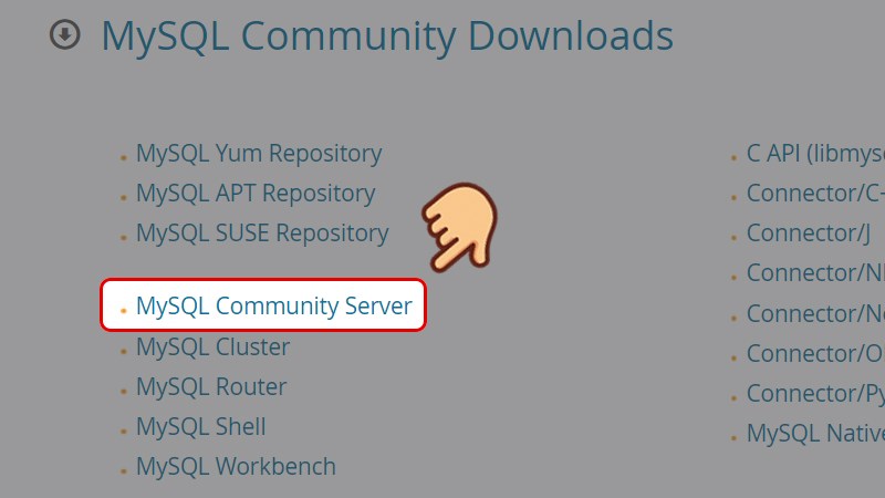 Vào trang web tải MySQL Community. Chọn MySQL Community Server