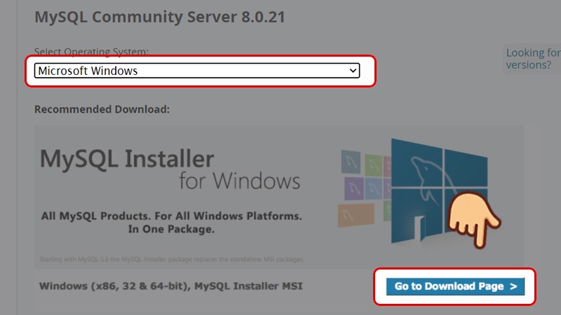 Chọn nền tảng máy của bạn và chọn Go to Download Page