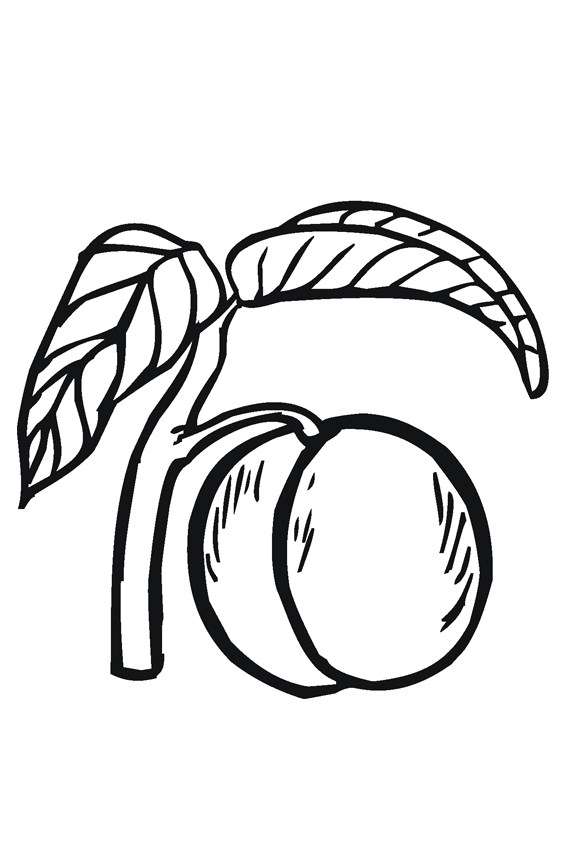 Tranh tô màu trái cây, hoa quả - 19