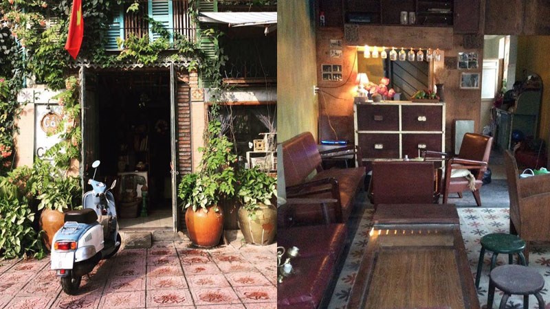 Cỏ Cafe