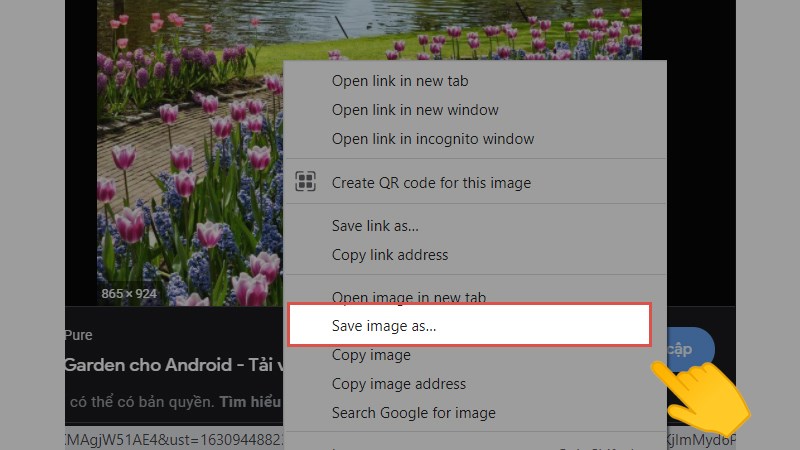 Nhấp chuột phải vào hình ảnh cần tải và chọn Save image as… để lưu ảnh