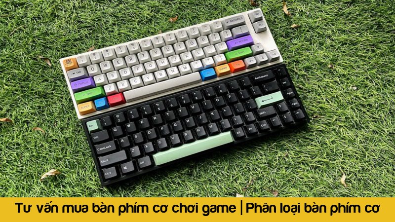 Tư vấn mua b&agrave;n ph&iacute;m cơ chơi game | Ph&acirc;n loại b&agrave;n ph&iacute;m cơ