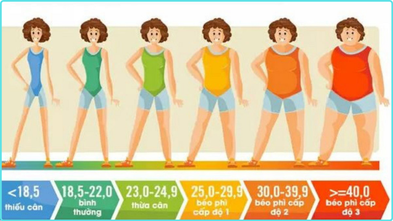 Cơ thể tại các mức BMI