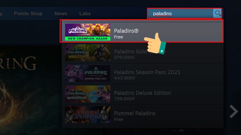 Điền từ khóa Paladins