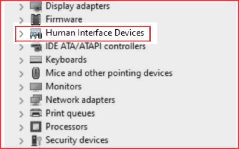 Tại cửa giao diện Device Manager, click vào Human Interface Devices