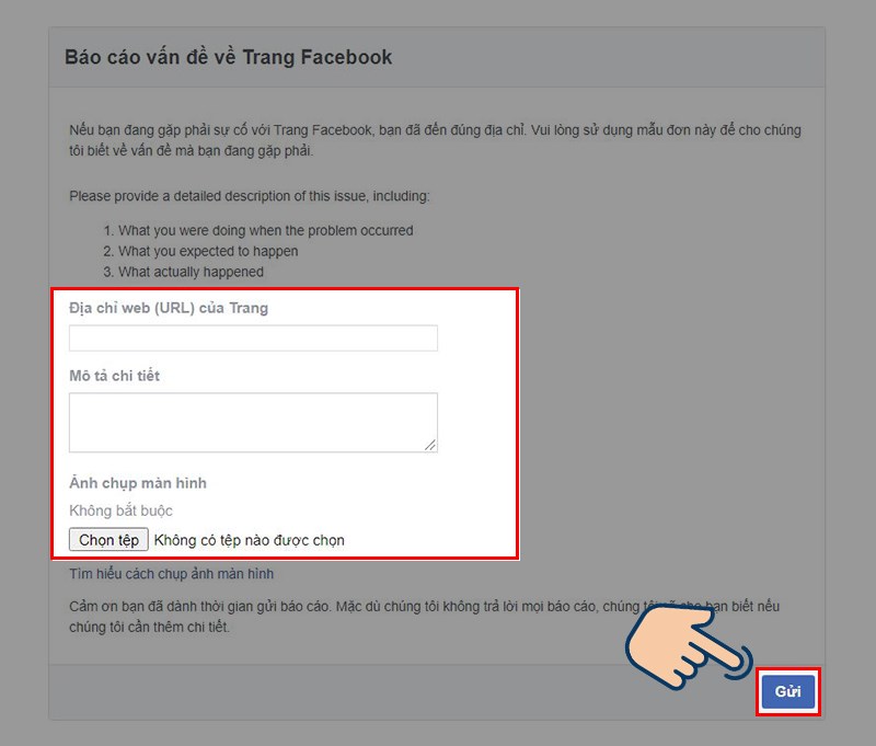 Sau đó nhập thông tin link (URL) trang fanpage, nhập thông tin Mô tả chi tiết, sau đó nhấn Gửi để gửi cho Facebook và chờ họ xử lý.