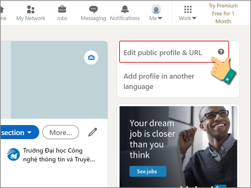 Chọn Edit publish profile & URL