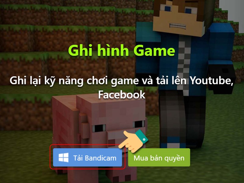 Nhấn vào Tải Bandicam